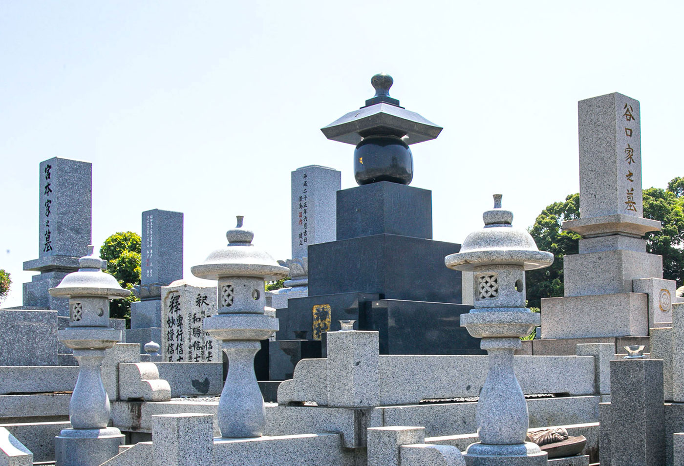 自由墓タイプ